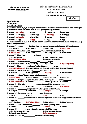 2 Đề thi khảo sát lần 1 môn Tiếng Anh Lớp 10 - Năm học 2016-2017 - Trường THPT Triệu Sơn 4